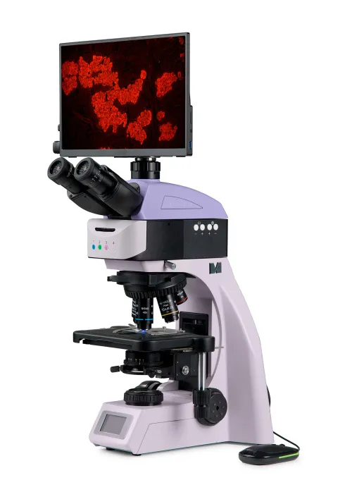 figura di Microscopio digitale a fluorescenza MAGUS Lum D460L LCD,  2