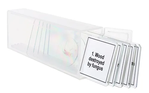 foto di Set di micropreparati Levenhuk Discovery Prof DPS 5. “Mutazioni”,  5