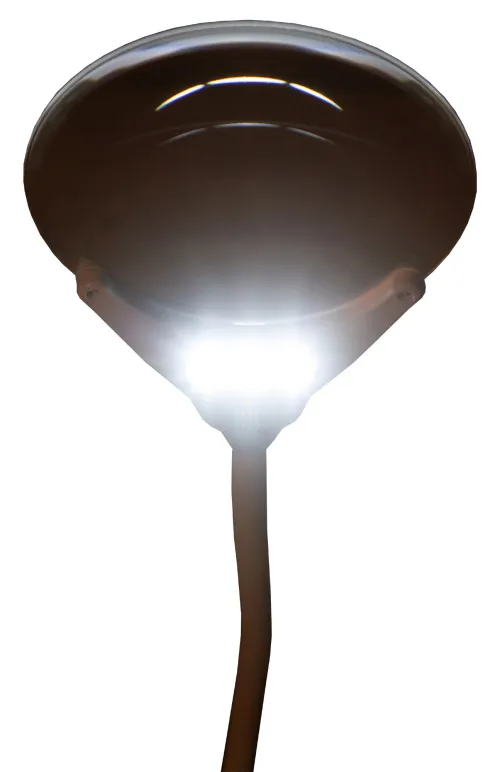 foto di Lente d’ingrandimento Levenhuk Zeno Lamp ZL7,  10