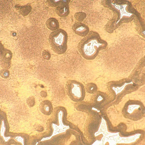 immagine di Microscopio metallografico digitale MAGUS Metal D650,  22
