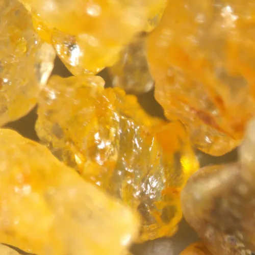 immagine di Microscopio stereoscopico MAGUS Stereo A18T,  7