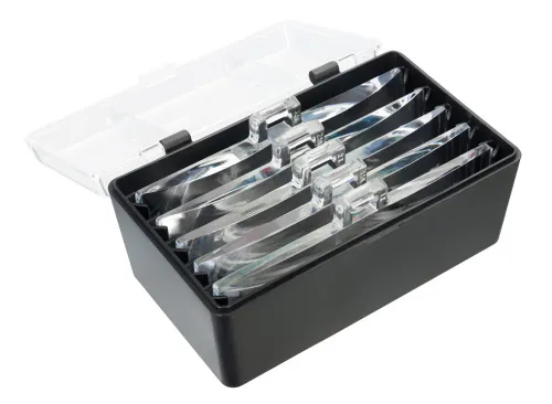 immagine di Occhiali d’ingrandimento Levenhuk Discovery Crafts DGL 40,  4