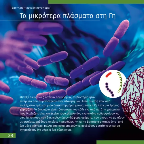 immagine di Mondo invisibile. Libro educativo,  7