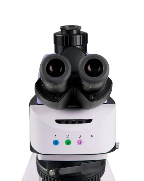 fotografia di Microscopio a fluorescenza MAGUS Lum 460L,  10