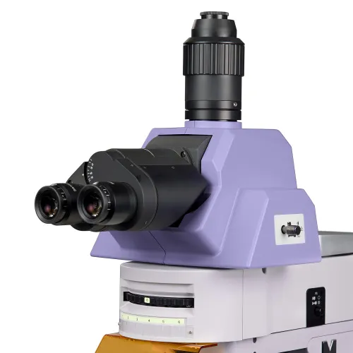 immagine di Microscopio a fluorescenza MAGUS Lum 490L,  9