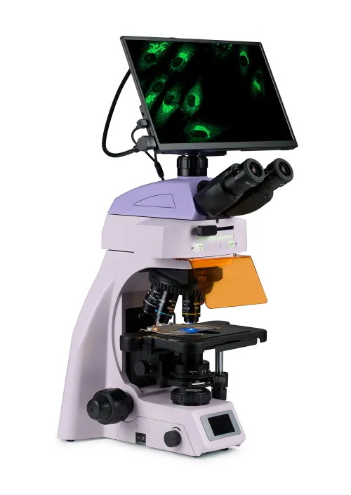 figura di Microscopio digitale a fluorescenza MAGUS Lum D450L LCD,  3