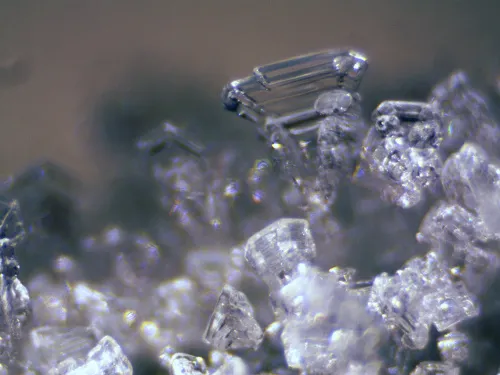 foto di Stereomicroscopio Bresser Erudit ICD,  12