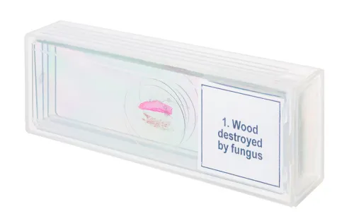 foto di Set di micropreparati Levenhuk Discovery Prof DPS 5. “Mutazioni”,  4