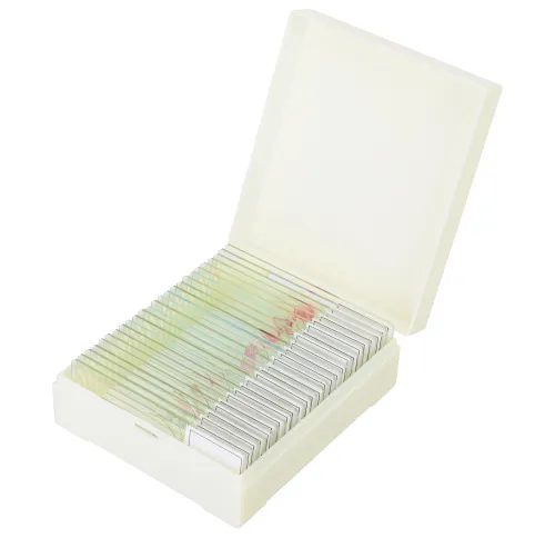 fotografia di Set di micropreparati Levenhuk Discovery Prof DPS 25. “Biologia, uccelli, ecc.”,  7