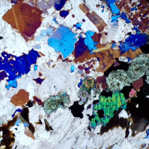 immagine di Microscopio polarizzatore digitale MAGUS Pol D800 LCD,  21