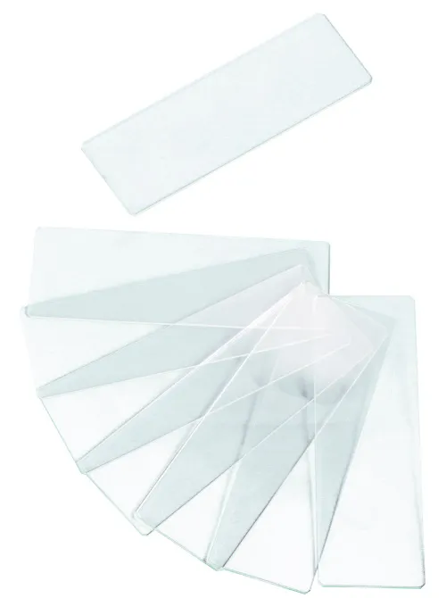 foto di Vetrini vuoti Levenhuk G50 2H a cavità doppia, 50 pz.,  3