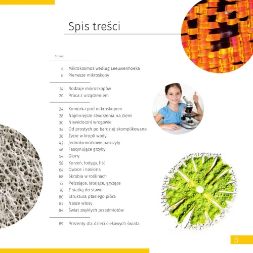 immagine di Mondo invisibile. Libro educativo,  2