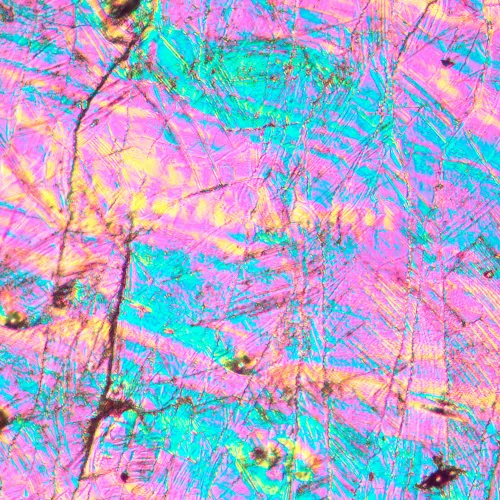 figura di Microscopio metallografico invertito MAGUS Metal V700 DIC,  16