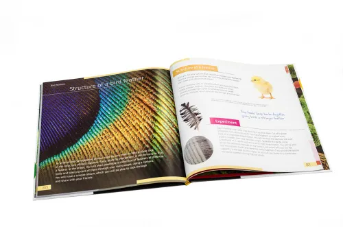 figura di Mondo invisibile. Libro educativo. Copertina rigida,  4