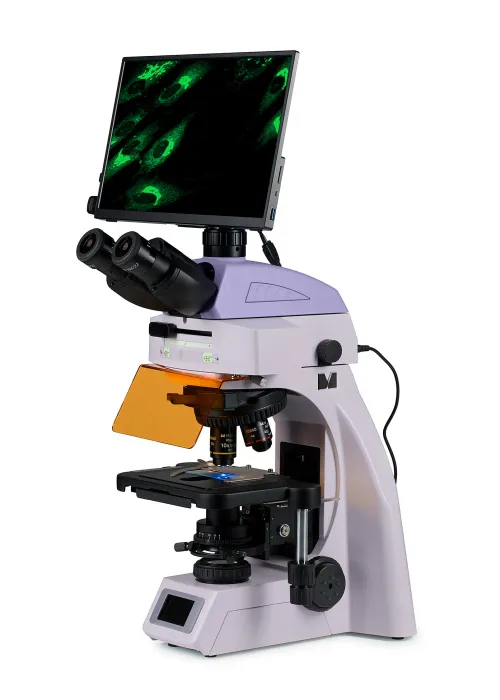 figura di Microscopio digitale a fluorescenza MAGUS Lum D450L LCD,  2