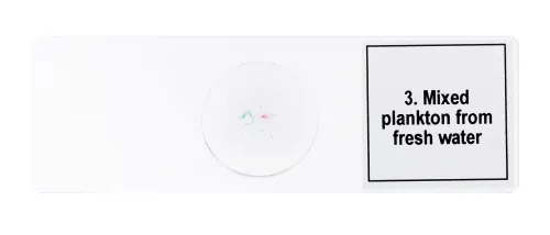 figura di Set di micropreparati Levenhuk Discovery Prof DPS 5. “La vita in una goccia d’acqua”,  7