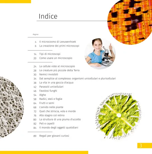 immagine di Mondo invisibile. Libro educativo,  7