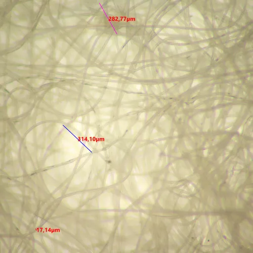 fotografia di Microscopio stereoscopico digitale MAGUS Stereo D9T LCD,  26
