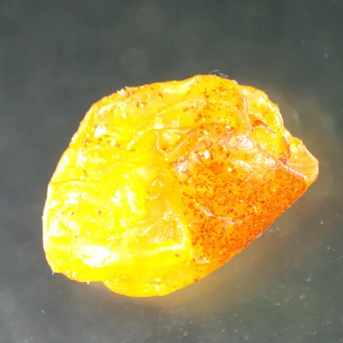 foto di Microscopio stereoscopico MAGUS Stereo A8,  15