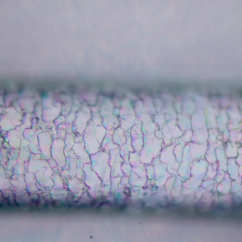 figura di Microscopio polarizzatore MAGUS Pol 850,  23