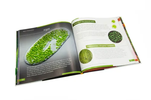 figura di Mondo invisibile. Libro educativo. Copertina rigida,  3