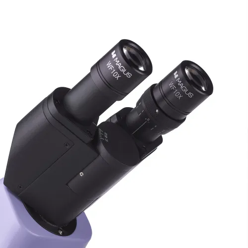 immagine di Microscopio biologico MAGUS Bio 230TL,  10