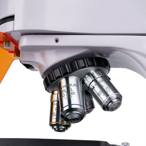 foto di Microscopio a fluorescenza digitale MAGUS Lum D400,  13