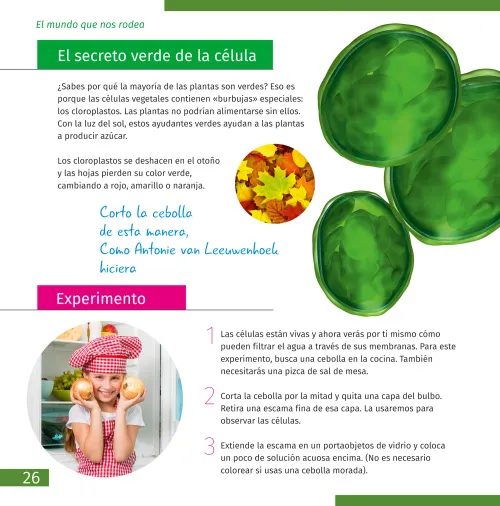 immagine di Mondo invisibile. Libro educativo,  3