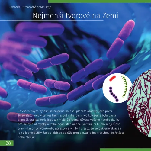 figura di Mondo invisibile. Libro educativo. Copertina rigida,  5