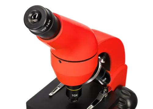 foto di Microscopio Levenhuk Rainbow 50L PLUS,  11