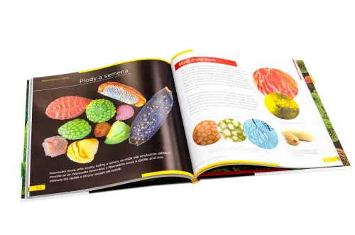figura di Mondo invisibile. Libro educativo. Copertina rigida,  10