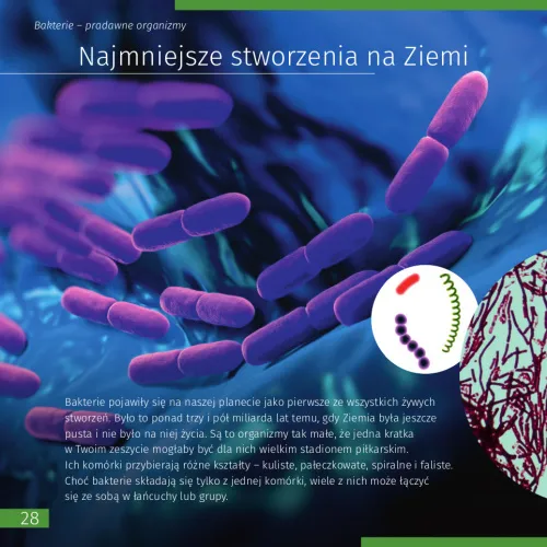 figura di Spazio. Microcosmo. Libro educativo in 2 volumi, copertina rigida,  9