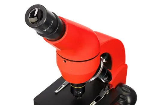 fotografia di Microscopio Levenhuk Rainbow 50L,  11