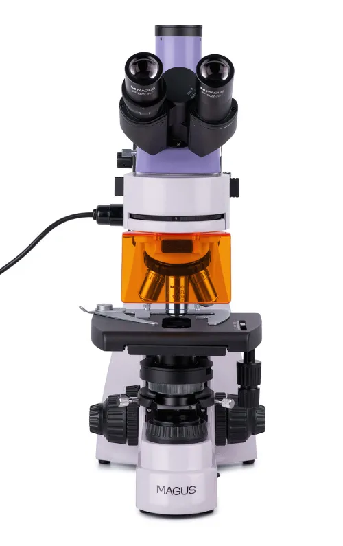 fotografia di Microscopio a fluorescenza MAGUS Lum 400,  17