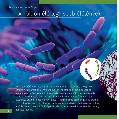 immagine di Spazio. Microcosmo. Libro educativo in 2 volumi,  10