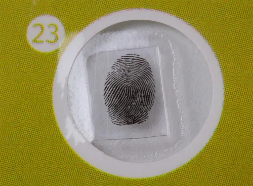 fotografia di Levenhuk LabZZ P12 Set di vetrini preparati Piante,  7