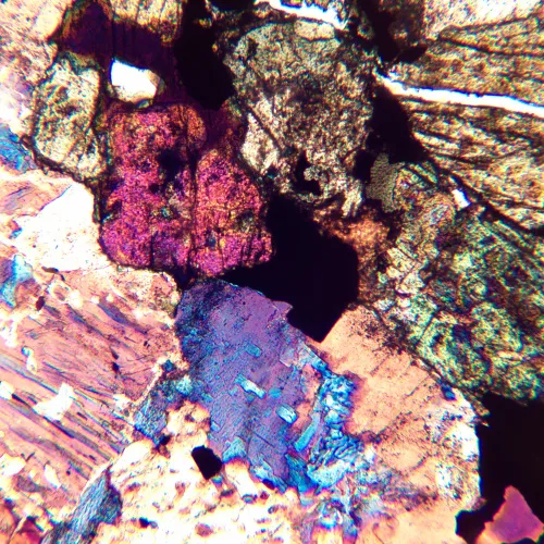 foto di Microscopio polarizzatore digitale MAGUS Pol D850 LCD,  26