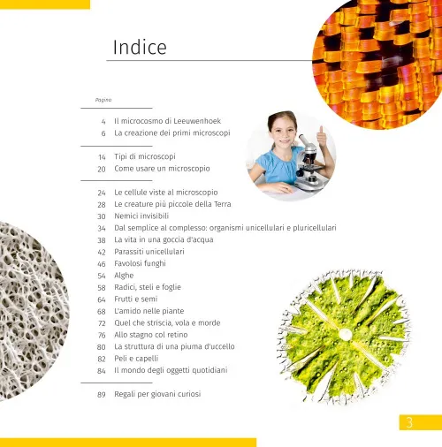 immagine di Microscopio Levenhuk Discovery Micro con libro,  6