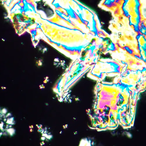 fotografia di Microscopio polarizzatore digitale MAGUS Pol D890 MAGUS,  30