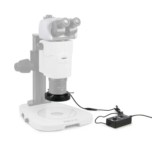 figura di Luce ad anello MAGUS LED RL18T,  3