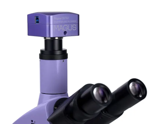 immagine di Microscopio biologico digitale MAGUS Bio D250TL,  25
