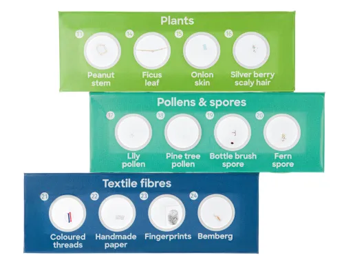 figura di Levenhuk Discovery Flora Set con 12 vetrini preparati,  3