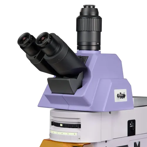 immagine di Microscopio a fluorescenza MAGUS Lum 490L,  10