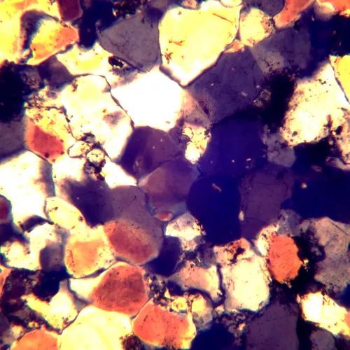 figura di Microscopio polarizzatore digitale MAGUS Pol D850,  26