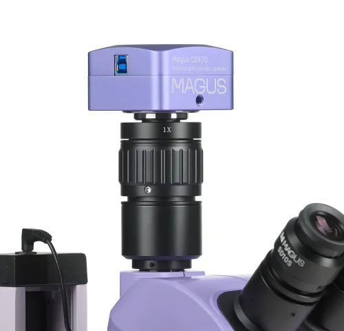 immagine di Microscopio stereoscopico digitale MAGUS Stereo D7T PLUS,  4