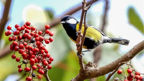 foto di Fototelescopio Levenhuk Kelvin MAK127 AZ GOTO Wi-Fi,  13