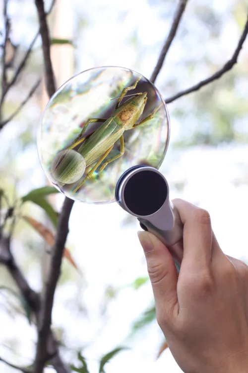 figura di Lente d’ingrandimento Levenhuk Zeno 400 LED, 2/4x, 88/21 mm, metallo,  9