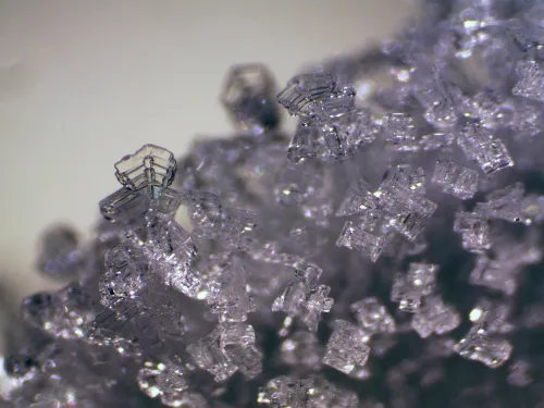 foto di Stereomicroscopio Bresser Erudit ICD,  11