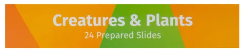 foto di Levenhuk LabZZ CP24 Set di vetrini preparati Piante e Animali,  14