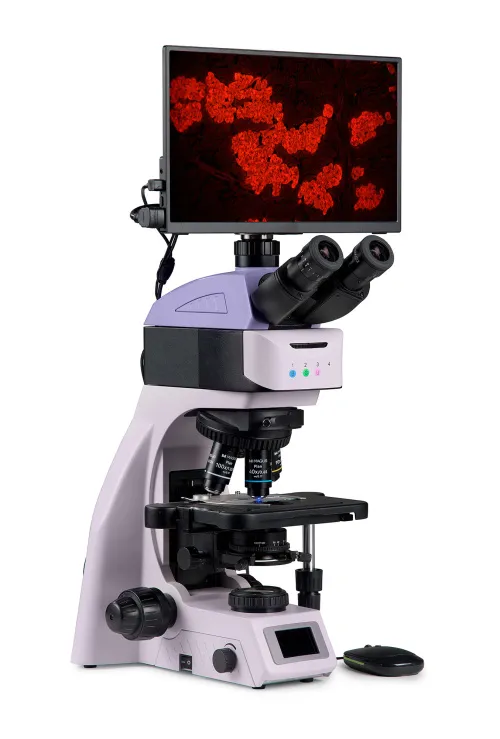 figura di Microscopio digitale a fluorescenza MAGUS Lum D460L LCD,  3